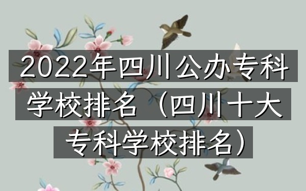 2022年四川公办专科学校排名（四川十大专科学校排名）
