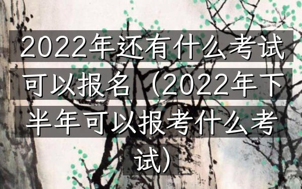 2022年还有什么考试可以报名(2022年下半年可以报考什么考试)