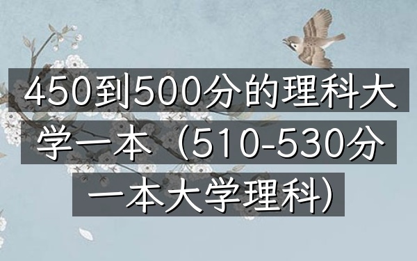 450到500分的理科大学一本(510-530分一本大学理科)