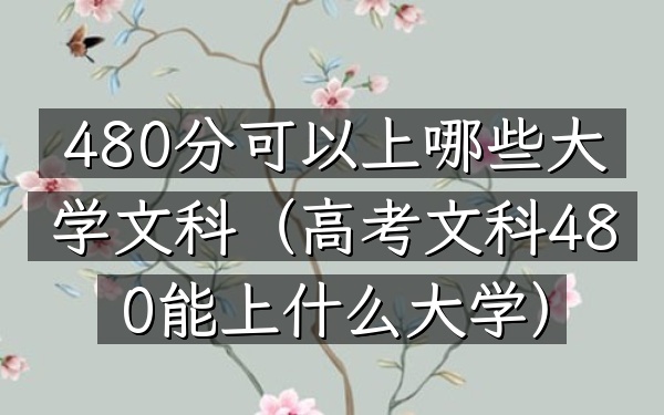 480分可以上哪些大学文科(高考文科480能上什么大学)