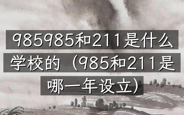 985985和211是什么学校的(985和211是哪一年设立)