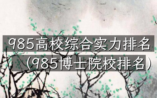 985高校综合实力排名（985博士院校排名）