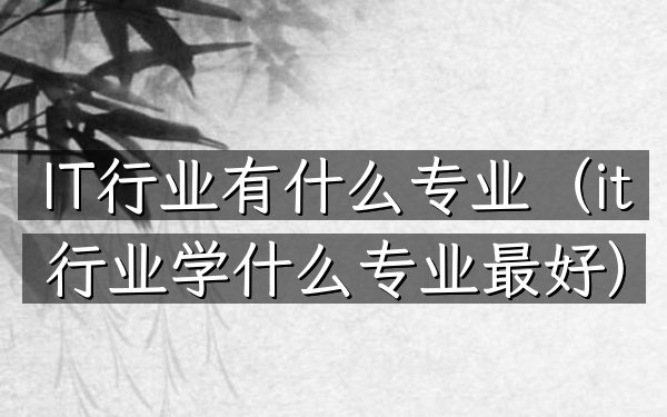 IT行业有什么专业(it行业学什么专业最好)