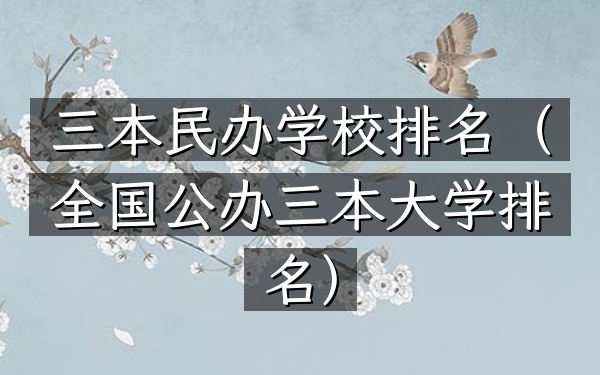 三本民办学校排名（全国公办三本大学排名）