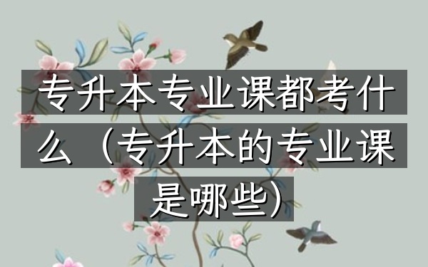 专升本专业课都考什么(专升本的专业课是哪些)