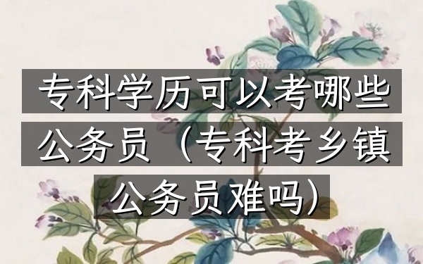 专科学历可以考哪些公务员(专科考乡镇公务员难吗)