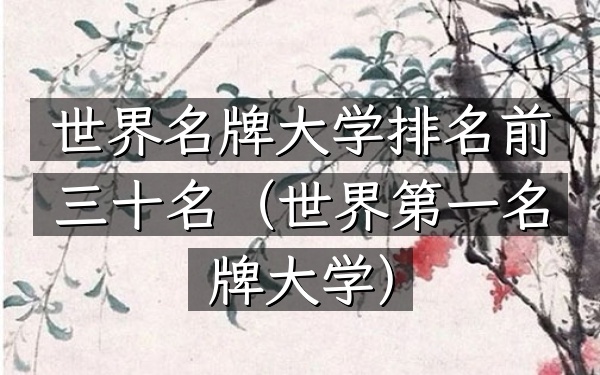世界名牌大学排名前三十名（世界第一名牌大学）