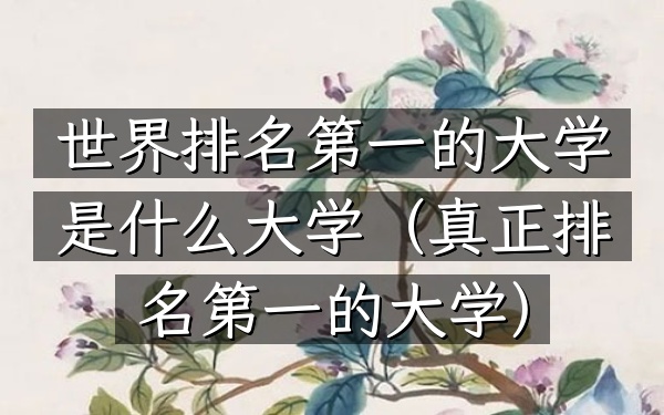 世界排名第一的大学是什么大学（真正排名第一的大学）