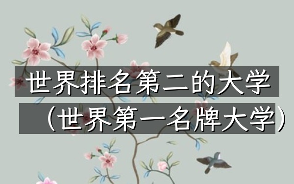 世界排名第二的大学（世界第一名牌大学）