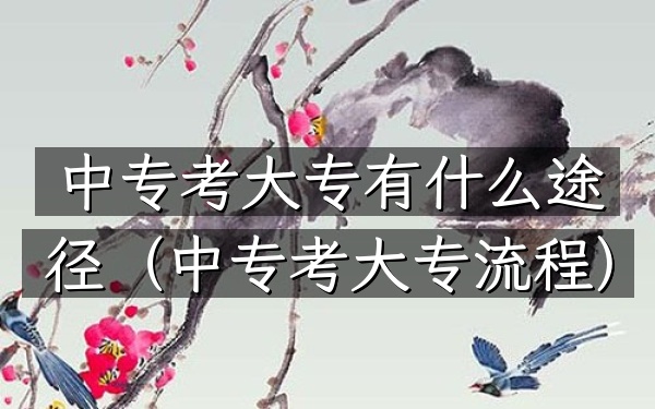 中专考大专有什么途径(中专考大专流程)