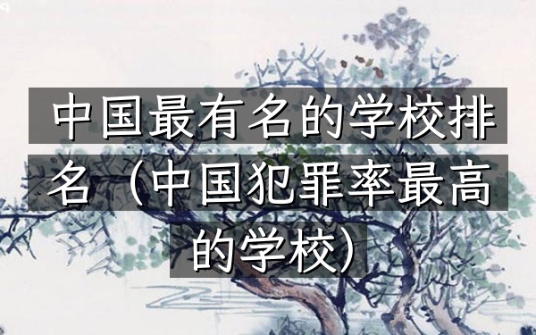 中国最有名的学校排名（中国犯罪率最高的学校）