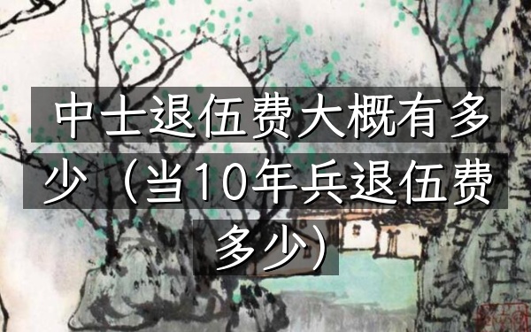中士退伍费大概有多少(当10年兵退伍费多少)