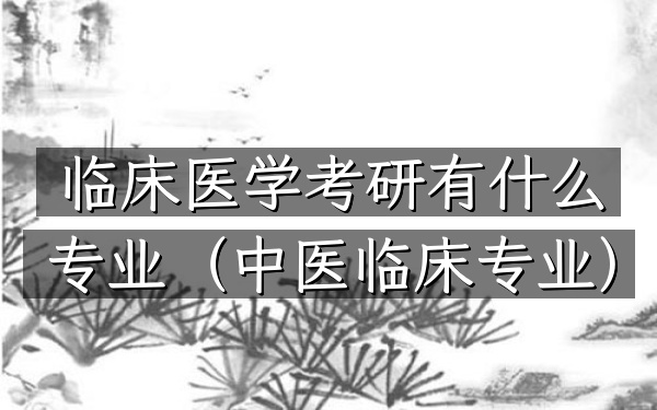 临床医学考研有什么专业(中医临床专业)