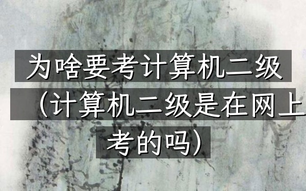 为啥要考计算机二级(计算机二级是在网上考的吗)
