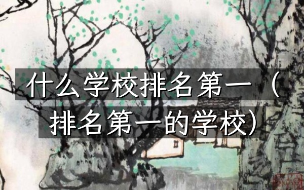什么学校排名第一（排名第一的学校）