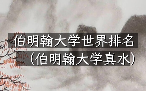 伯明翰大学世界排名（伯明翰大学真水）