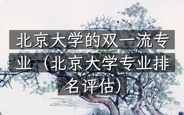 北京大学的双一流专业(北京大学专业排名评估)