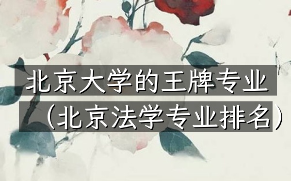 北京大学的王牌专业(北京法学专业排名)