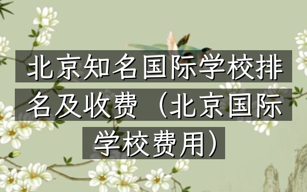 北京知名国际学校排名及收费（北京国际学校费用）