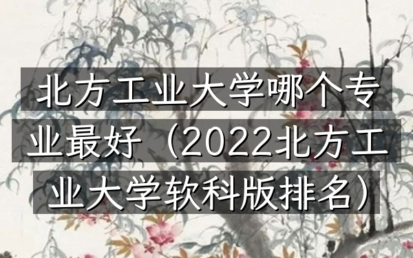 北方工业大学哪个专业最好(2022北方工业大学软科版排名)