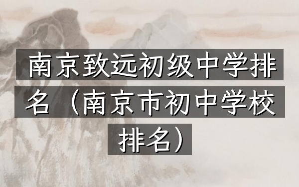 南京致远初级中学排名（南京市初中学校排名）