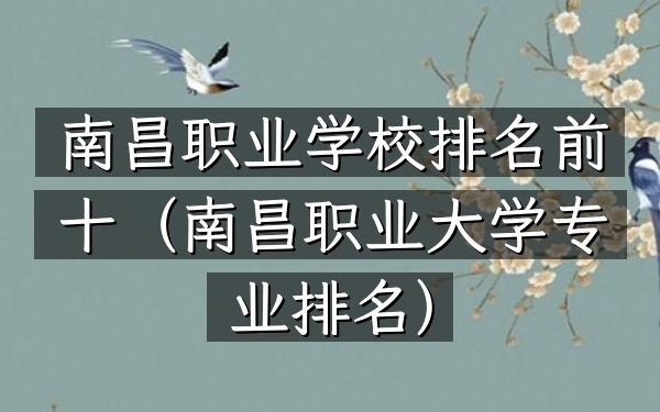 南昌职业学校排名前十（南昌职业大学专业排名）