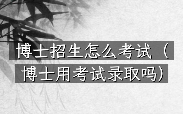 博士招生怎么考试(博士用考试录取吗)