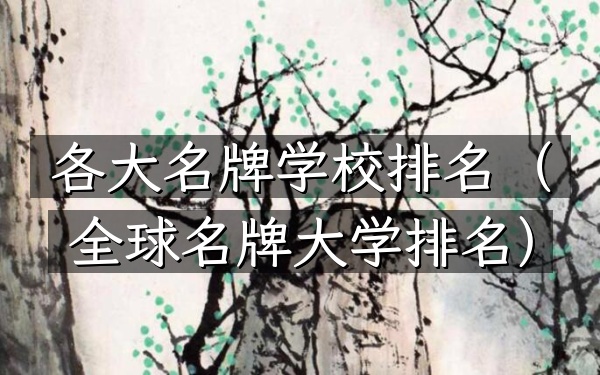 各大名牌学校排名（全球名牌大学排名）