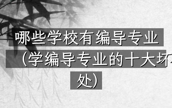 哪些学校有编导专业(学编导专业的十大坏处)