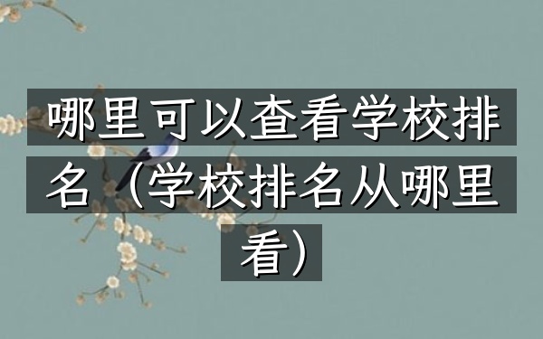 哪里可以查看学校排名（学校排名从哪里看）