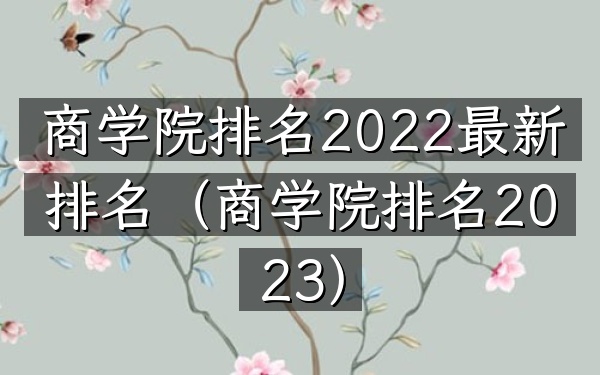 商学院排名2022最新排名（商学院排名2023）