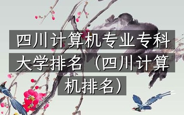 四川计算机专业专科大学排名（四川计算机排名）