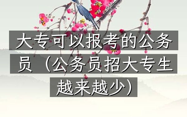 大专可以报考的公务员(公务员招大专生越来越少)