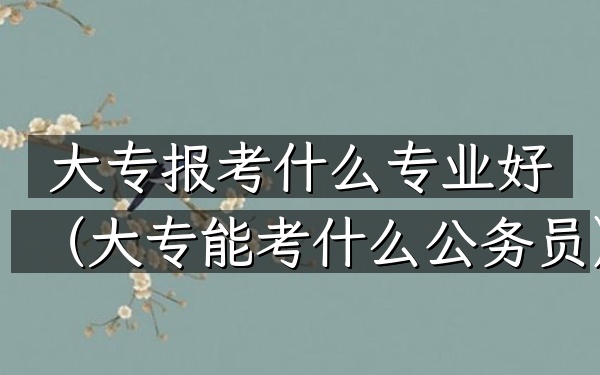 大专报考什么专业好(大专能考什么公务员)