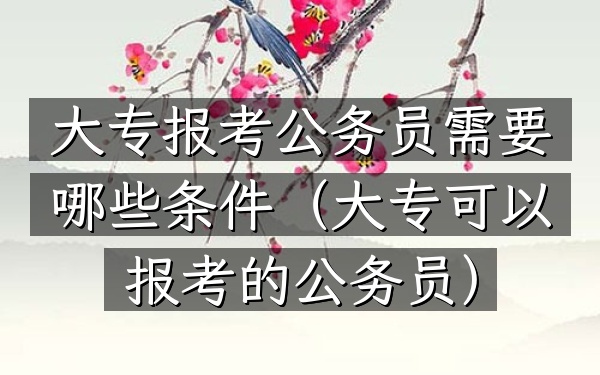 大专报考公务员需要哪些条件(大专可以报考的公务员)