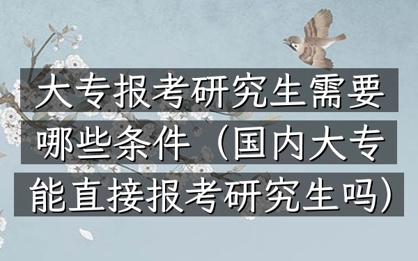 大专报考研究生需要哪些条件(国内大专能直接报考研究生吗)