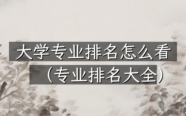 大学专业排名怎么看（专业排名大全）