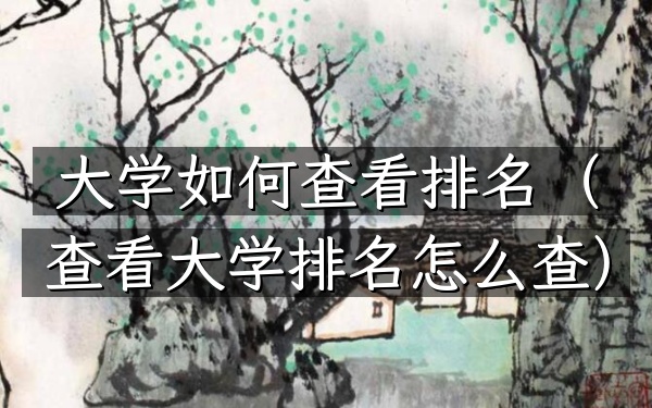 大学如何查看排名（查看大学排名怎么查）
