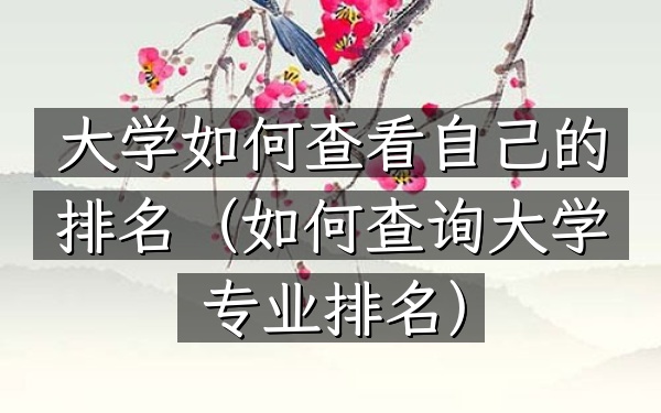 大学如何查看自己的排名（如何查询大学专业排名）