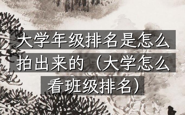 大学年级排名是怎么拍出来的（大学怎么看班级排名）