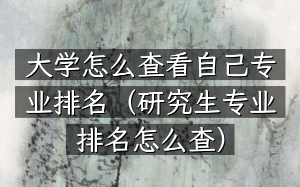 大学怎么查看自己专业排名（研究生专业排名怎么查）