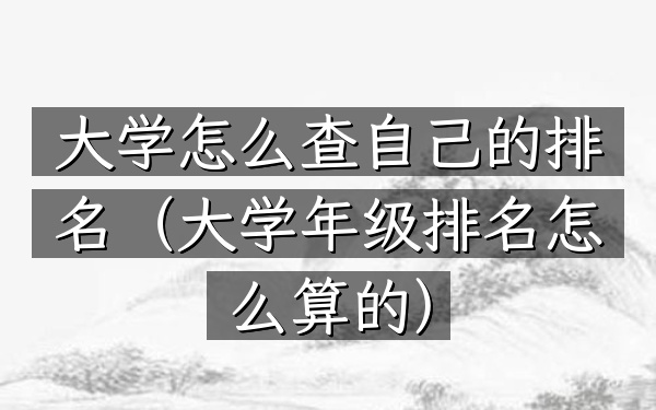 大学怎么查自己的排名（大学年级排名怎么算的）