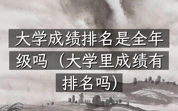 大学成绩排名是全年级吗（大学里成绩有排名吗）