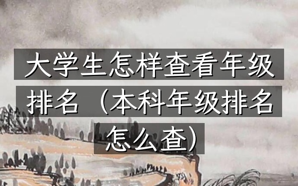 大学生怎样查看年级排名（本科年级排名怎么查）