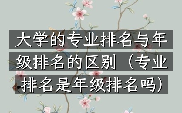 大学的专业排名与年级排名的区别（专业排名是年级排名吗）