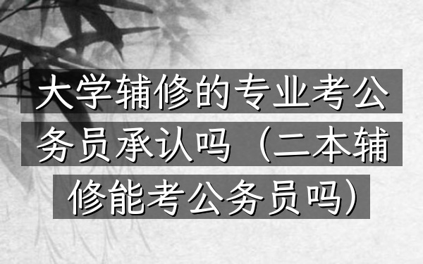 大学辅修的专业考公务员承认吗(二本辅修能考公务员吗)