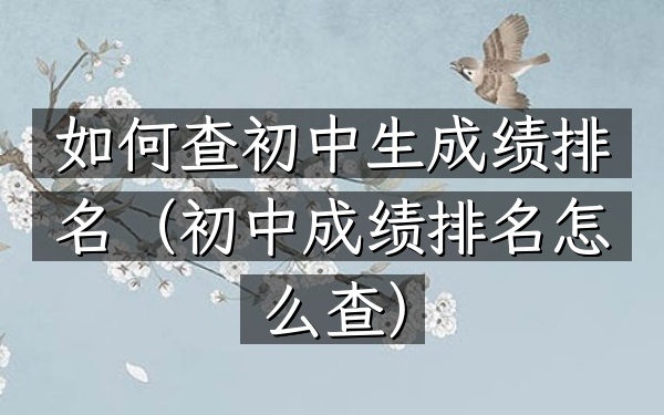 如何查初中生成绩排名（初中成绩排名怎么查）