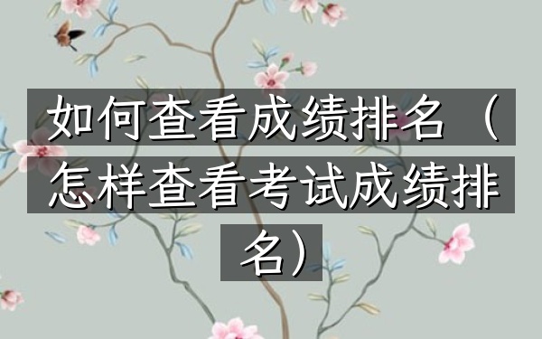 如何查看成绩排名（怎样查看考试成绩排名）