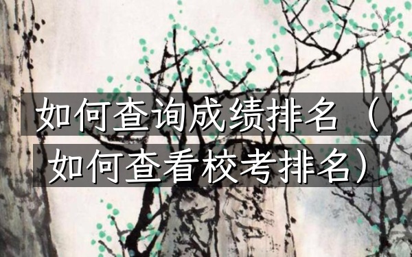 如何查询成绩排名（如何查看校考排名）