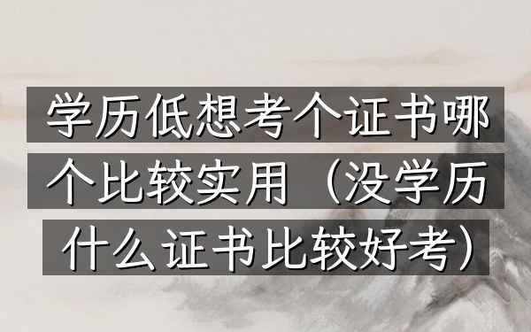 学历低想考个证书 哪个比较实用(没学历什么证书比较好考)